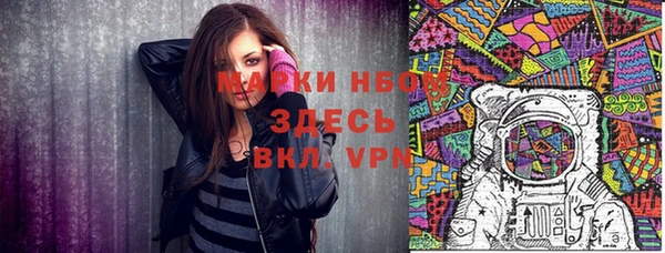 мдпв Богородск
