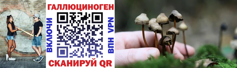 Псилоцибиновые грибы прущие грибы Верещагино